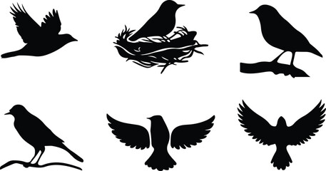 Fototapeta premium set of vector silhouettes of birds