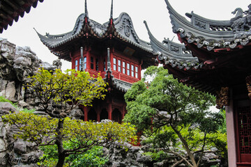 Fototapeta premium chinese temple in the park
