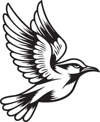 Bird vector illustration art