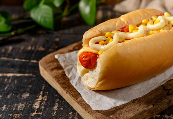hot dog on rustic set background.