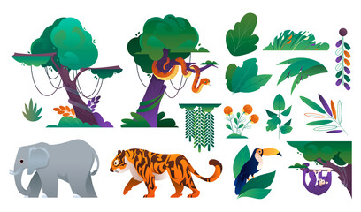 Colorful Jungle Elements and Wildlife Illustration