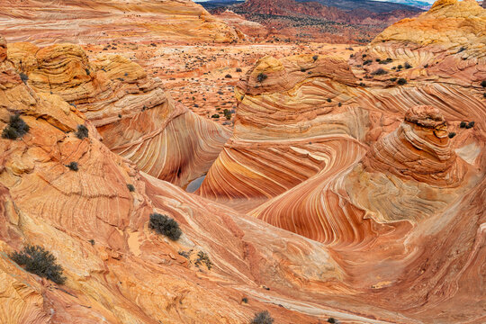 The Wave from Above