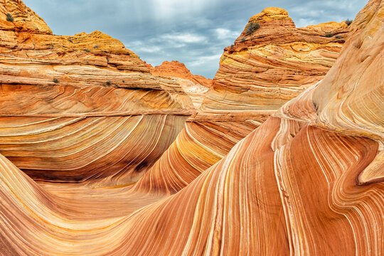 Rolling Waves of Stone at The Wave