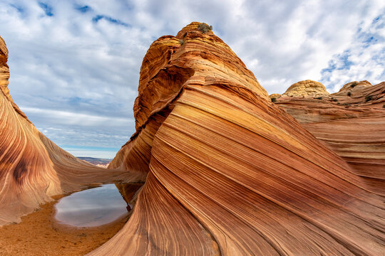 The Rock Wave and Water 