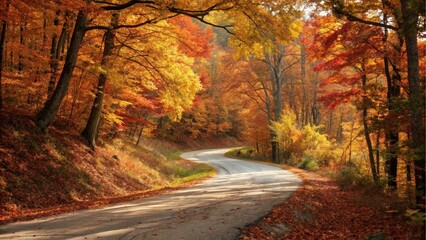 A winding road in autumn