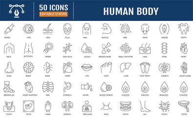 Human Body Line Editable Icons set. Containing icons: organs, body parts, skeleton parts. Vector Illustration