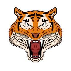 tiger head vector illustration