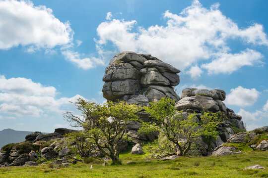 Granite outcrop King&rsquo;s Tor just outside Merrivale, Yelverton, UK in Dartmoor National Park south of route B3357 between agricultural landscape with meadows and trees