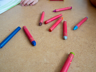 A clump of Cymbidium aloifolium orchids clings to a palm tree