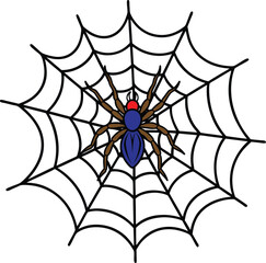 Obraz premium spider on web