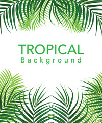 Obraz premium Palm Tree Leaf Silhouette Background Vector Illustrat stock illustration