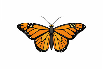 butterfly isolated on white
