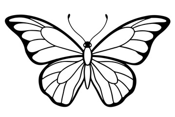 black and white butterfly
