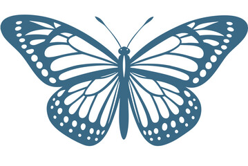butterfly illustration