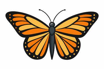 Obraz premium butterfly isolated on white background
