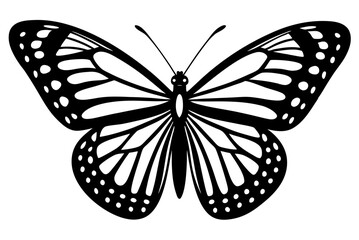 butterfly isolated on white
