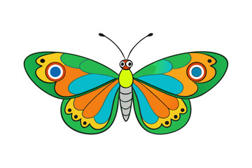 butterfly isolated on white background