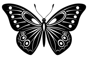 butterfly isolated on white background