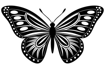 black and white butterfly