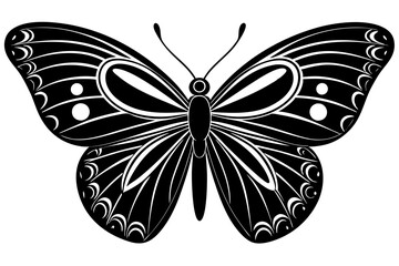 black and white butterfly