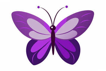 butterfly on white background