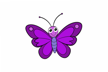 butterfly on white background