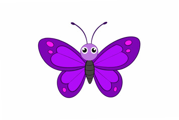 butterfly on white background