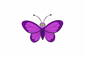 butterfly on a white background