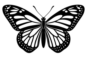 butterfly isolated on white
