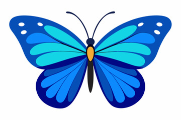 butterfly on white background