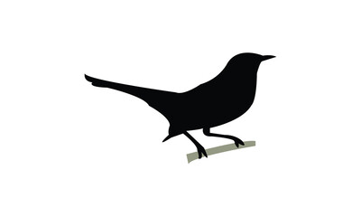 Catbird Silhouette Design  And Vector Illustration. 
