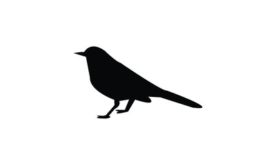 Catbird Silhouette Design  And Vector Illustration. 
