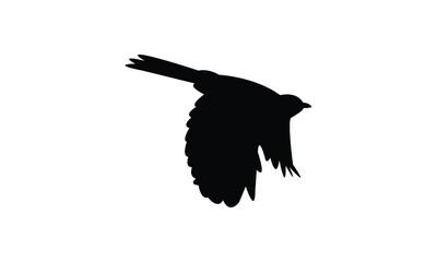 Catbird Silhouette Design  And Vector Illustration. 
