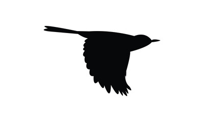 Catbird Silhouette Design  And Vector Illustration. 
