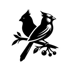 Fototapeta premium black and white bird