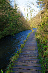 Obraz premium The wooden platform towards Milldale, in Derbyshire, in December, 2024.