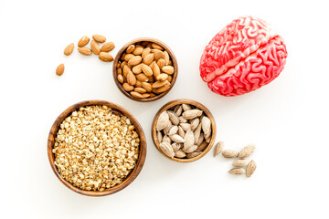 Human brain model with nuts and grain, top view. Healthy food for the brain
