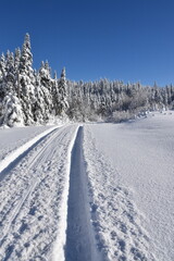 Tracks in the snow, Québec, Canada