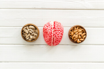 Human brain model and nuts in bowl, top view. Healthy food for the brain