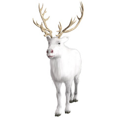 3D rendered beautiful reindeer isolated on transparent background