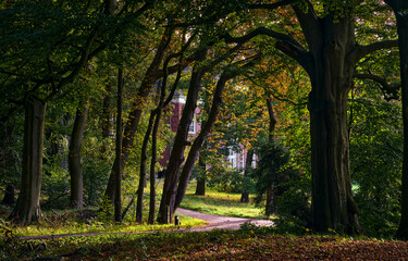 footpath in autumn park