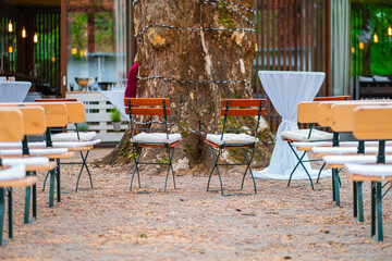 Outdoor Event Seating Arrangement Around a Rustic Tree in a Scenic Natural Setting