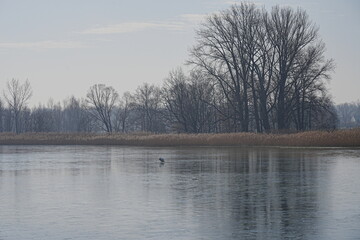 Scenic Vistula river in Goczalkowice town at Silesian in Poland