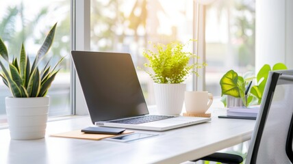 Fototapeta premium A modern workspace featuring a laptop, green plants, and a cup, illuminated by natural sunlight through large windows.