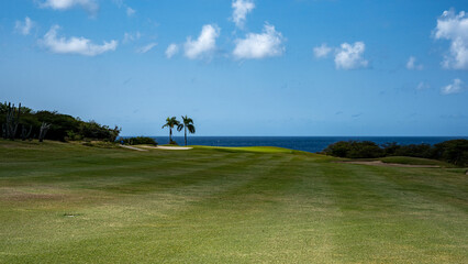 Breathtaking Golf Course in Curaçao: Azure Waters and Palm-Lined Fairways, Capturing the Serene Tropical Paradise and Luxurious Getaway Vibes of this Caribbean Island