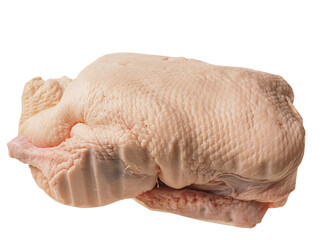 Uncooked fresh duck on a metal stainless steel tray. Fine, high quality poultry product on white background.