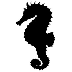 Marine animal silhouette © Benjawan Tenpaksee