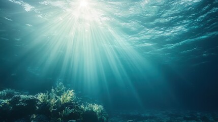 Fototapeta premium A serene underwater scene showcasing sunlight filtering through calm waters, illuminating vibrant coral and aquatic plants below.
