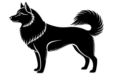 Silhouette of a Samoyed Dog with Fluffy Tail Curled Over Its Back - Elegant Canine Design