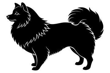 Silhouette of a Samoyed Dog with Fluffy Tail Curled Over Its Back - Elegant Canine Design